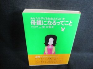 母親になるってこと　筧三智子　日焼け有/GEZE