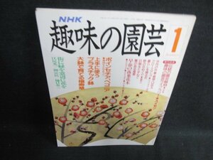 趣味の園芸　1991.1　ポインセチア、ベゴニア　日焼け有/HDN