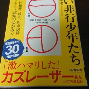 ケーキの切れない非行少年たち （新潮新書　８２０） 宮口幸治／著