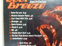 CD★アシミレイション /クール・ブリーズ　COOL BREEZE ASSIMILATION 　国内 ク_画像5