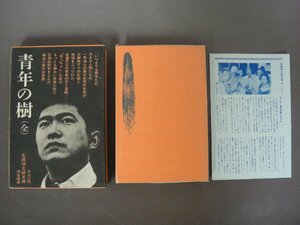 「青年の樹　全　十八歳」石原慎太郎文庫4　河出書房　１９６４年初版　送料無料！