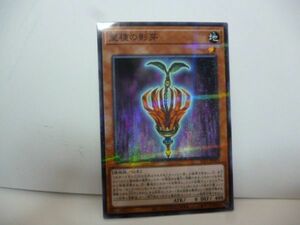 遊戯王 SLT1-JP029 聖種の影芽 N-Parallel SELECTION 10