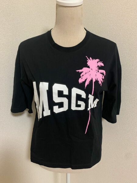 【最終値下げ価格です】MSGM Tシャツ　XSサイズ