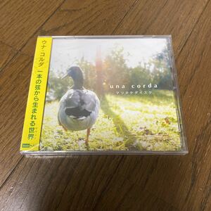 未開封品　デッドストック　倉庫保管品　CD マツタケダイスケ　una corda ウナ・コルダ　NAT07511