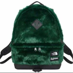 The North Face Faux Fur Backpack 緑 グリーン