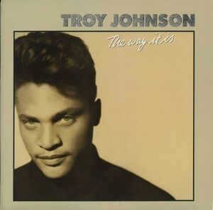 USオリジナルLP！Troy Johnson / The Way It Is 89年【RCA 9690-1-R】New Jack Swing ブラック・コンテンポラリー ディスコ