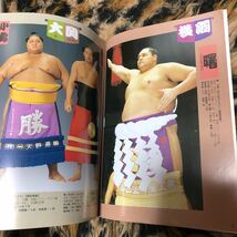 大相撲三月場所　大阪府立体育会館　曙　貴ノ花　貴乃花　小錦　年代物_画像3