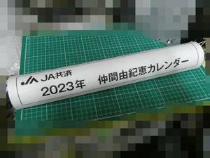 JA共済 2023年 仲間由紀恵 カレンダー 壁掛け 未使用品 