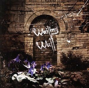 Ｗａｉｌｉｎｇ　Ｗａｌｌ（初回限定盤）（ＤＶＤ付）／ＳＣＲＥＷ