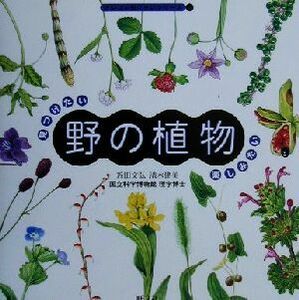 見つけたい楽しみたい野の植物 アレコレ知りたいシリーズ４／近田文弘(著者),清水建美(著者)