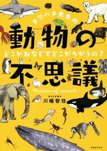 カワハタ先生の動物の不思議 どこがおなじでどこがちがうの？／川幡智佳(著者)