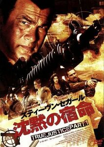 沈黙の宿命　ＴＲＵＥ　ＪＵＳＴＩＣＥ　ＰＡＲＴ１／スティーブン・セガール（出演、脚本）,ミーガン・オリー,ウォーレン・クリスティ,キ