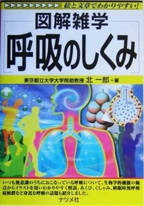 呼吸のしくみ 図解雑学／北一郎(著者)