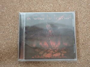 A Call To Irons 2 - A Tribute To Iron Maiden 2 CD ACHERON DECEASED ENGRAVE STEEL PROPHET FROM THE DEPTH DEATH METAL デスメタル