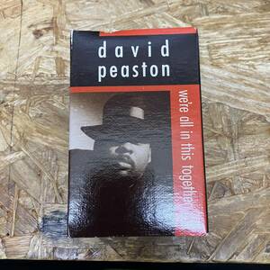 コ HIPHOP,R&B DAVID PEASTON - WE'RE ALL IN THIS TOGETHER シングル TAPE 中古品