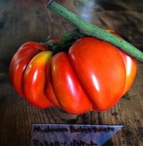 Mushroom Basket Tomatoマッシュルーム　バスケットトマト