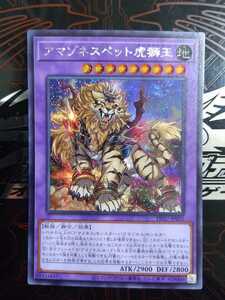 遊戯王「アマゾネスペット虎獅王(キングライガー)」シークレット　DP27