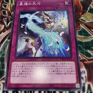 遊戯王　ノーマル　DABL-JP079　星逢の天河　 DARKWING BLAST