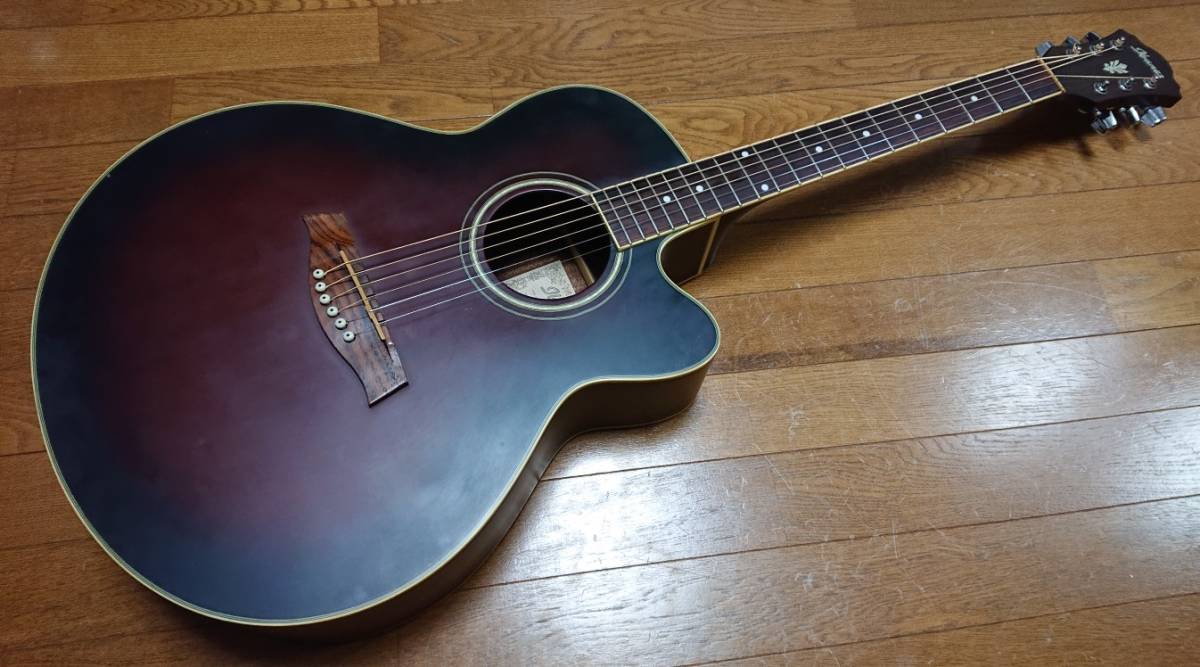 ダイゾー ナチュラル ibanez AEL14シリーズ エレアコ