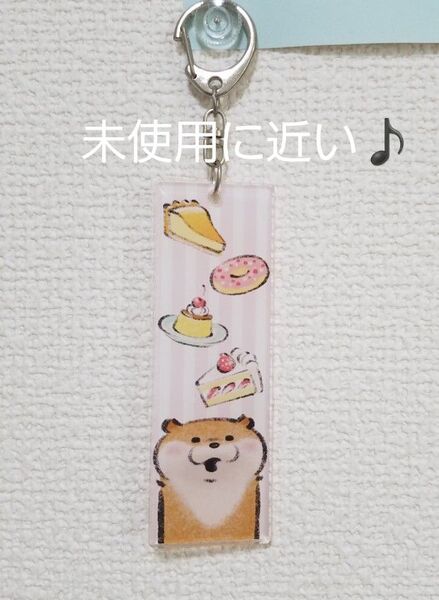 可愛い嘘のカワウソキーホルダー レア