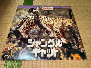 ● LD「パイオニア / JUNGLE CAT (ジャングル・キャット) ウォルト・ディズニー / 1960」●