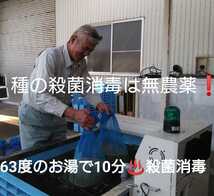 自然栽培米 無農薬 氷温熟成 ひとめぼれ ４年産 山形県産 庄内米 玄米 25kg(正味24.6kg)_画像5