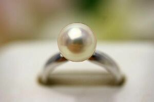  Akoya pearl pearl ring [ ring ] 8.5-9.0mm pink color silver made ring frame 