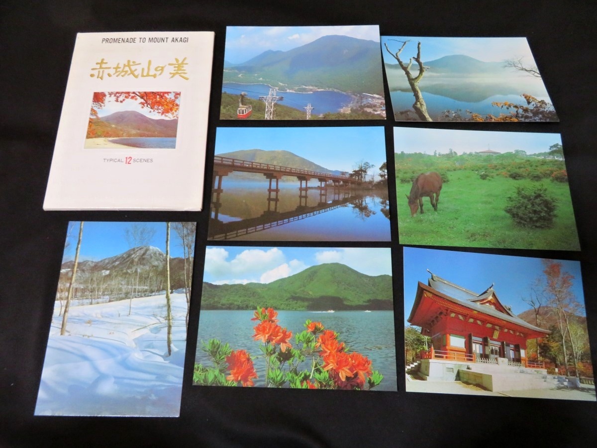美品】 【シャケ・赤城山・漁船】 作品名 書家ブラッシュ ポストカード