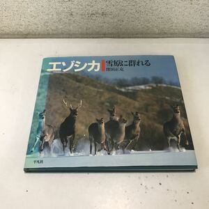 230105◎ M17◎ エゾシカ　雪原に群れる　1982年初版発行　窪田正克/著　平凡社　蝦夷鹿/北海道/バンビ　サイン付き