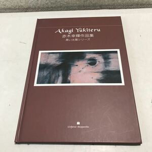 230124◎PA02◎ 赤木幸輝作品集　黒い太陽シリーズ　Akagi Yukiteru 2013年7月発行　赤木幸輝/著　芸術出版社　美本