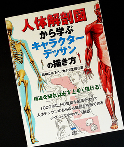 人体解剖図から学ぶ キャラクターデッサンの描き方｜アニメ 漫画 人体描写 動作 描画テクニック ポーズ集 作例集#R