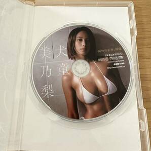 犬童美乃梨 DVD 褐色の美神、降臨の画像3