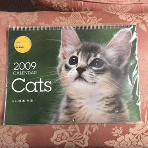  cat calendar 2009 year .. cat so Mali cat unused collection pretty . cat animal wall-mounted calendar noru way Jean rug doll 