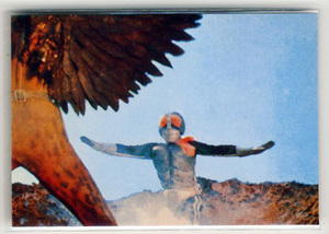 ◆防水対策 厚紙補強 カルビー 仮面ライダーチップスカード（1999 復刻版） 145番 フクロウ男とライダーとの戦い トレカ 即決