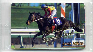 ★まねき馬カード SP 610番 ランドパワー スペシャルカード 未開封 写真 画像 競馬カード
