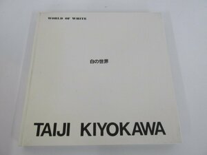 ▼　【著者直筆サイン入り　画集　清川泰次　白の世界　WORLD OF WHITE TAIJI KIYOKAWA　昭和48年】080-02301