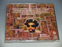 □ BUNNY WAILER バニー・ウェイラー GUMPTION ガンプション 国内盤CD VPCK-85093_画像2