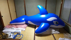 InflatableWorld製　3.2mシャチ（ブルー、マット調）