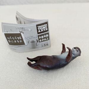 ＜美品＞コツメカワウソ　ちらちらあにまるず　フィギュア★高さ約5.5cm〈C2