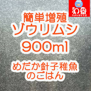 ゾウリムシ 種水900ml★大量増殖★ めだかグッピーベタ金魚稚魚ビーシュリンプミジンコクロレラに最適77の画像1