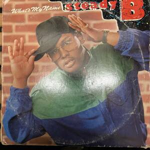 ■■■■ HIPHOP,R&B STEADY B - WHAT'S MY NAME アルバム レコード 中古品