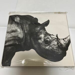 【美品】Mr.Children ミスターチルドレン ベストアルバム 肉 1992-1995 初回限定盤BEST 