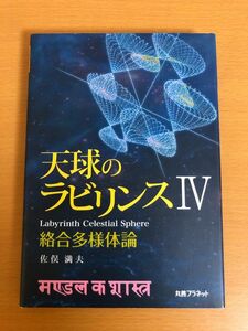 【送料160円】天球のラビリンス IV 絡合多様体論 佐俣満夫 丸善プラネット