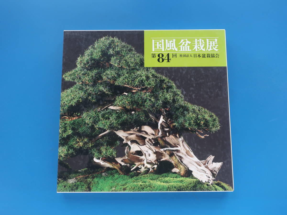 ヤフオク! -国風盆栽展の中古品・新品・未使用品一覧