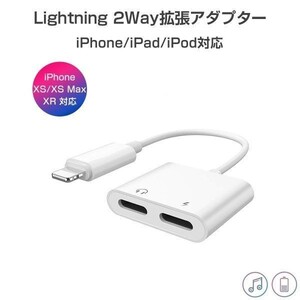 ライトニングポート 拡張アダプター 高品質 変換 充電 同時 通話 iPhoneXS/XSMax/XR/8/8Plus/7/7Plus 1ヶ月保証「L-LL.D」