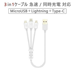 1mロングタイプ 3in1ケーブル Lightning Type-C MicroUSB ケーブル 急速充電 同時充電対応 送料無料 1ヶ月保証「USB-LINE3P-L.D」