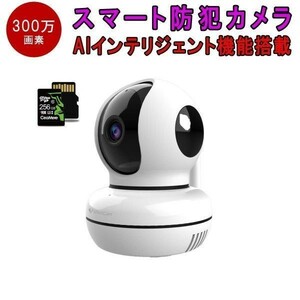 防犯カメラ 300万画素 C46S SDカード256GBセット VStarcam ワイヤレス 無線 WIFI 屋内用 送料無料 在庫処分1ヶ月保証「C46S/SD128.A」