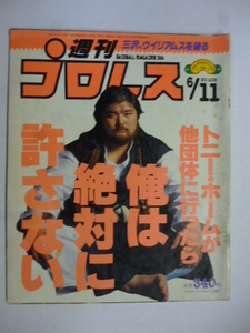 週刊プロレス　1991　6/11　No.438　三沢、ウイリアムを破る　保永　後藤　ヒロ斉藤　マシン　藤波　橋本