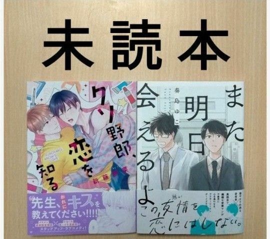 BL「また明日会えるよ／奏島ゆこ」「クソ野郎、恋を知る／新藤伊菜」※未読本（ヤケあり）