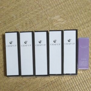 チャップアップ★CHAP UP★薬用育毛剤120mL【5本】・★ビオルチヘアオイル★60mL【1本】未使用